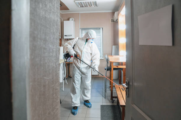 Best Mold Remediation for Healthcare Facilities  in Eden, TX