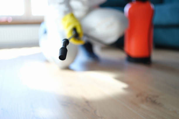 Best Commercial Mold Inspection  in Eden, TX